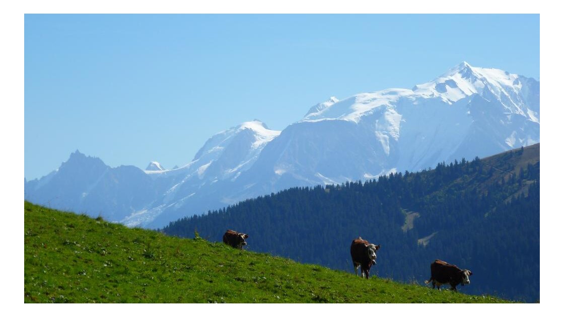 Mont_Blanc.JPG