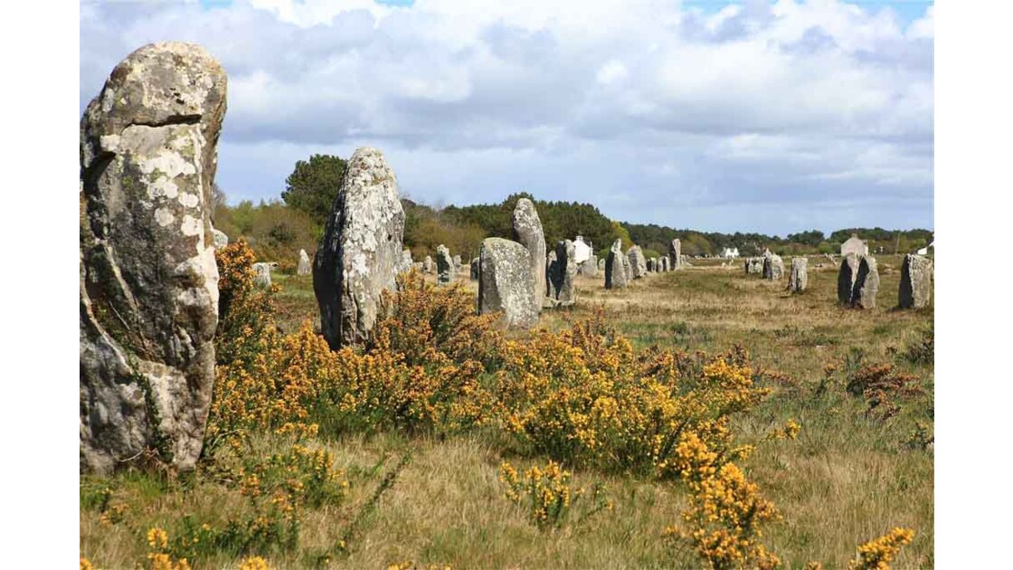 Carnac Sur Les Traces Du Royaume Disparu Alignements_de_Carnac.jpg, - Geo.fr