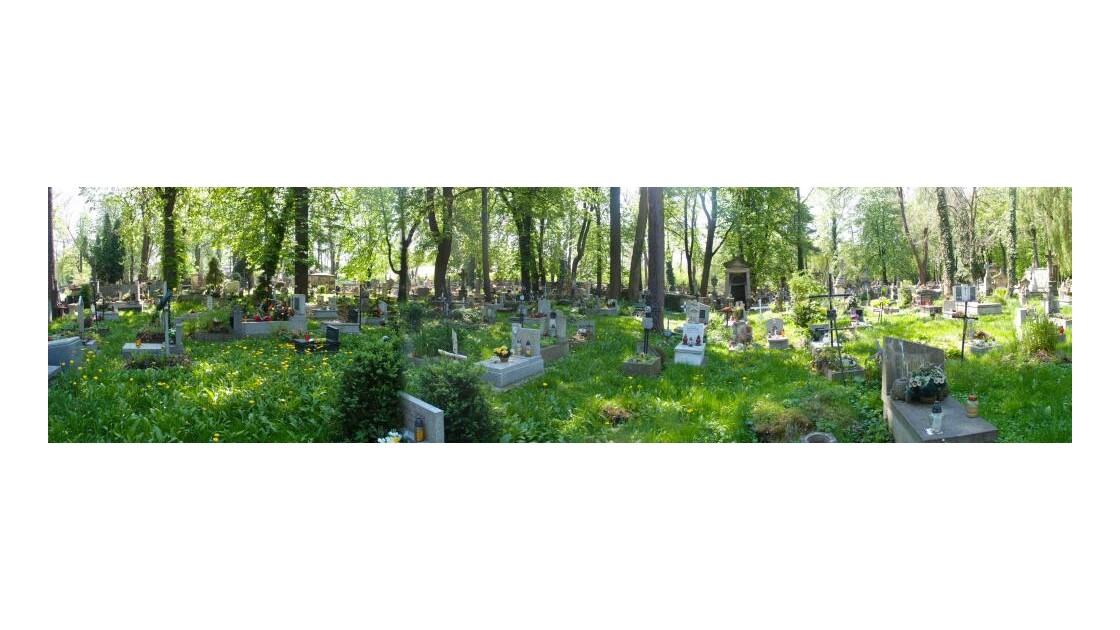 cimetière vert