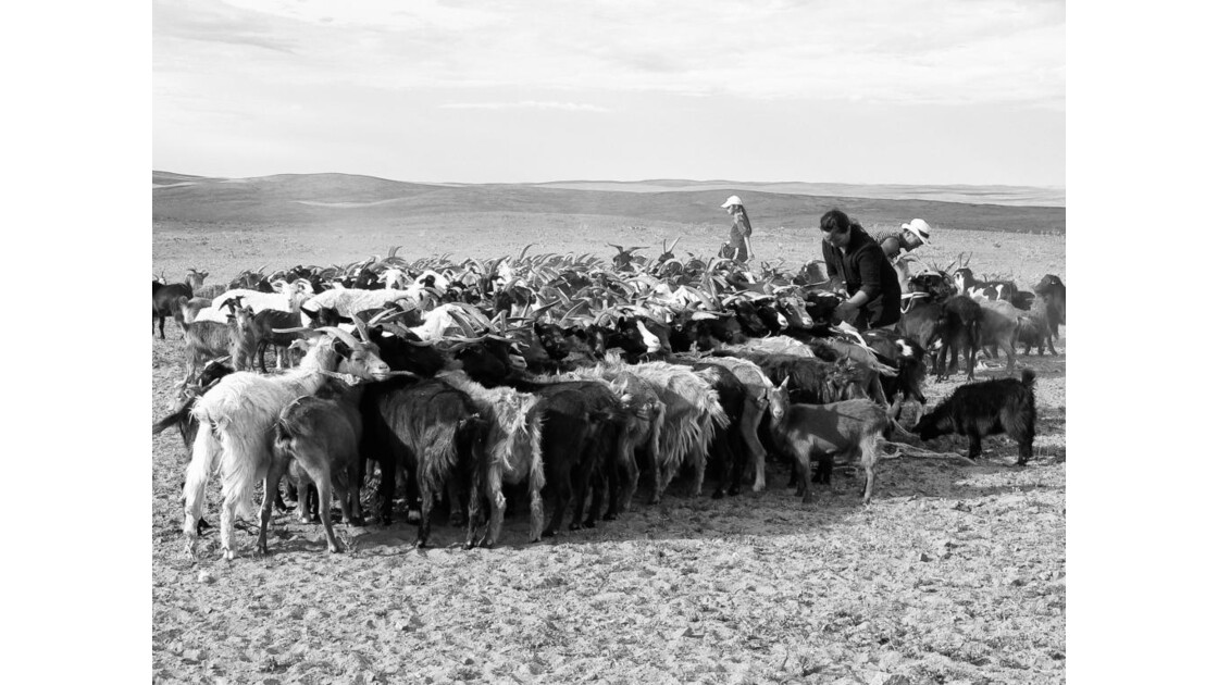 Voyage en Mongolie - desert de Gobi