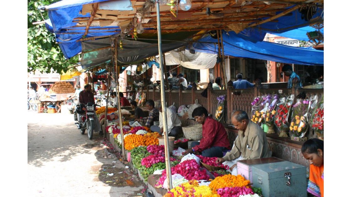 Market - Delhi