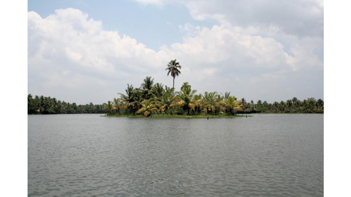 Un îlot singulier dans les backwaters