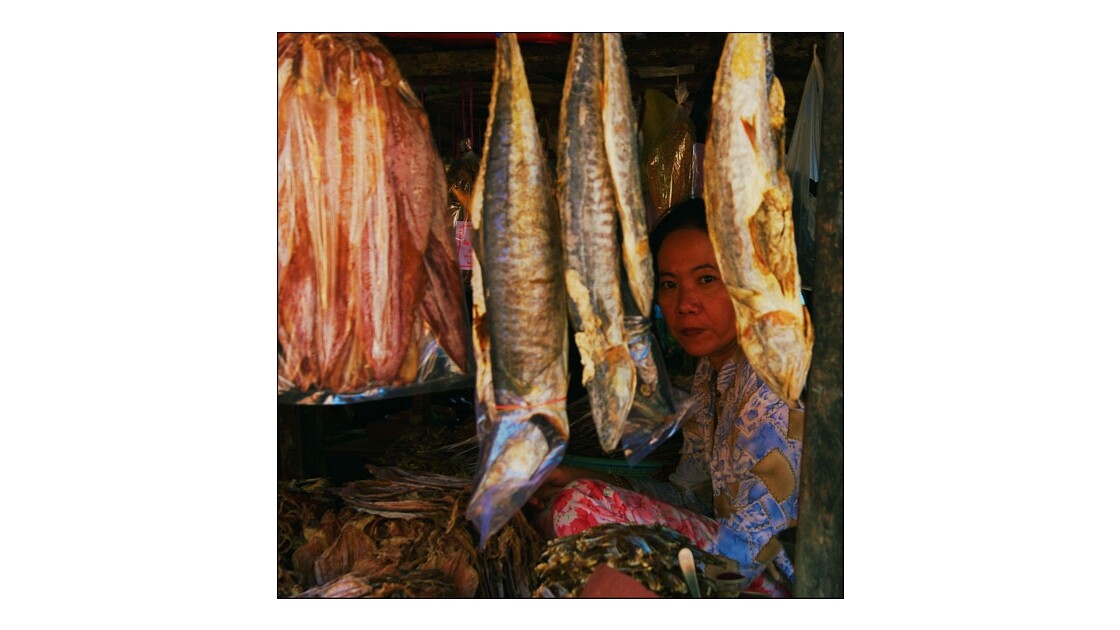 vietnam market dry fish.jpg