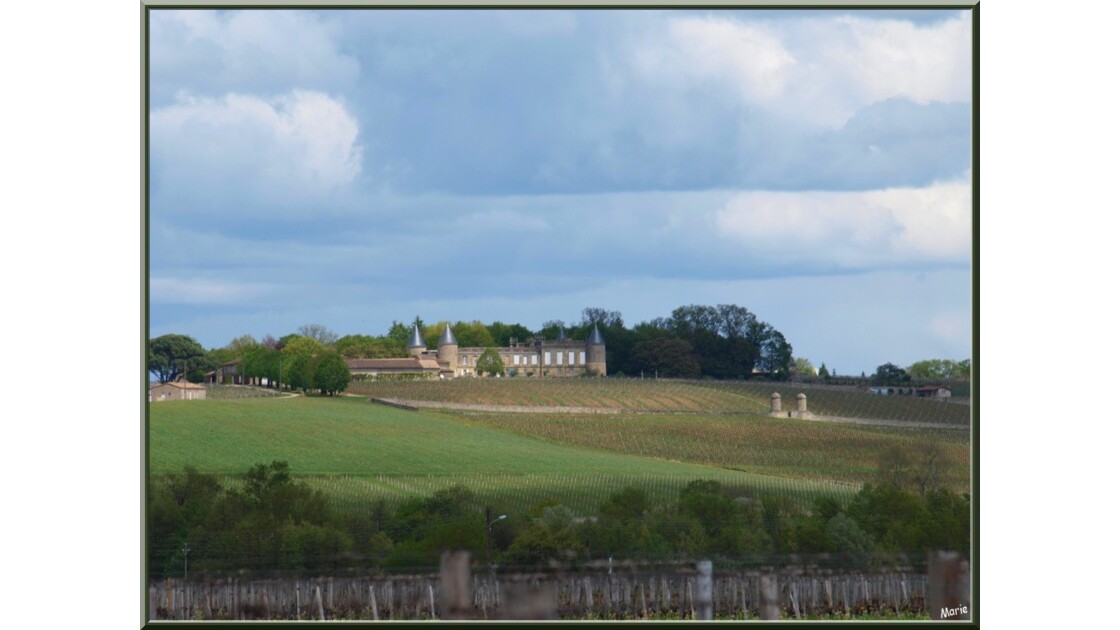 Château au milieu du vignoble_P4294268.