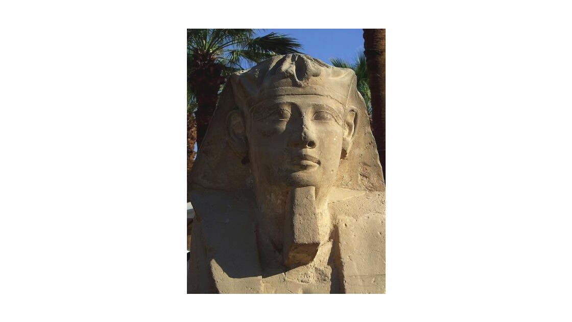 Sphinx Luxor 2009