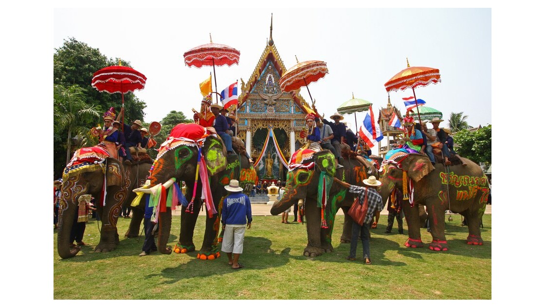Elephants au temple.