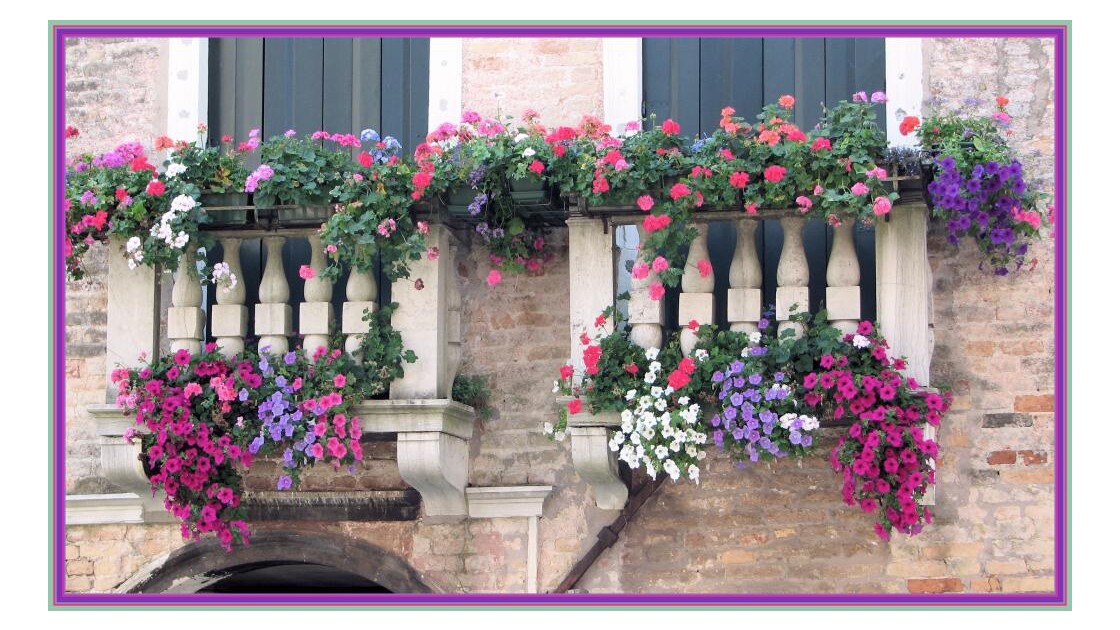 Le Balcon Fleuri Harmonie Des Couleurs Geo Fr