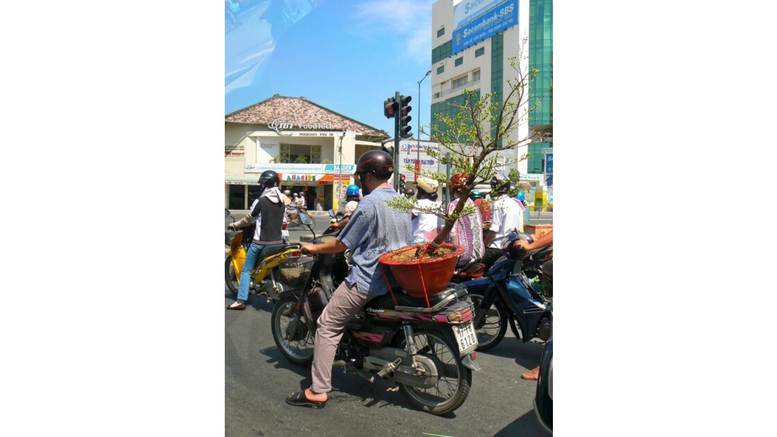 Transport de fleurs du Tet - Saigon