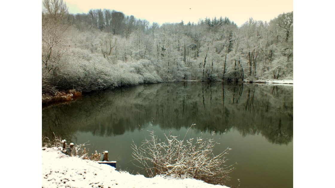 Fond d'étang, Geo.fr