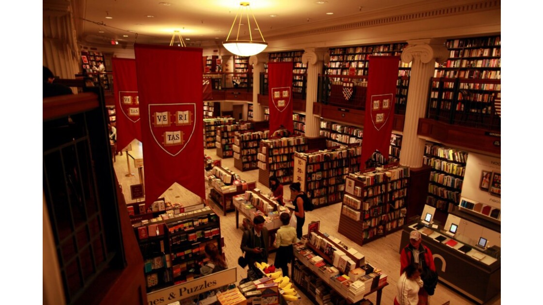 Librairie d'Harvard, Cambridge