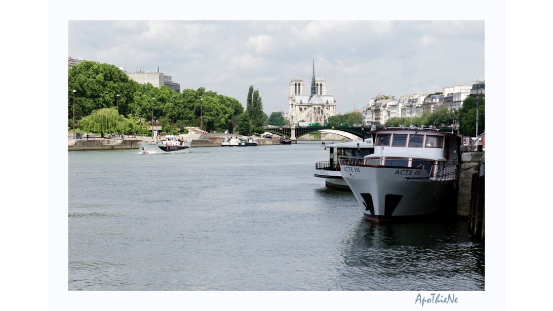 Coule la Seine