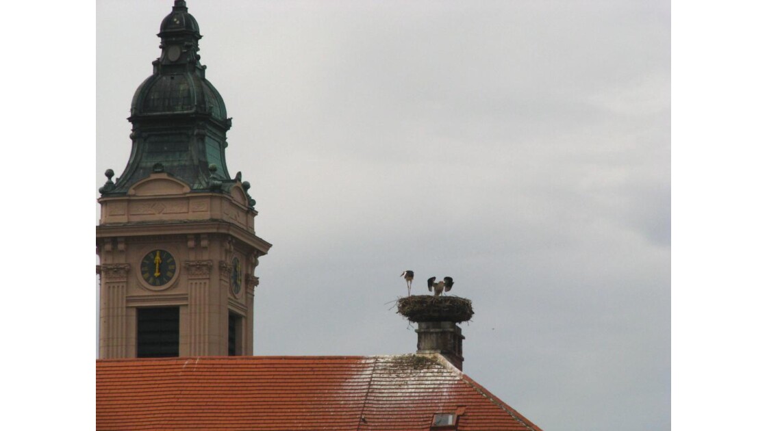 Rust: sur le toit de l'église