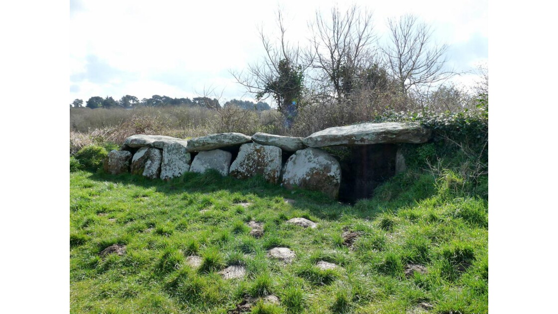 L’Allée couverte de Kerguntuil.JPG, L’Allée couverte... Geo.fr