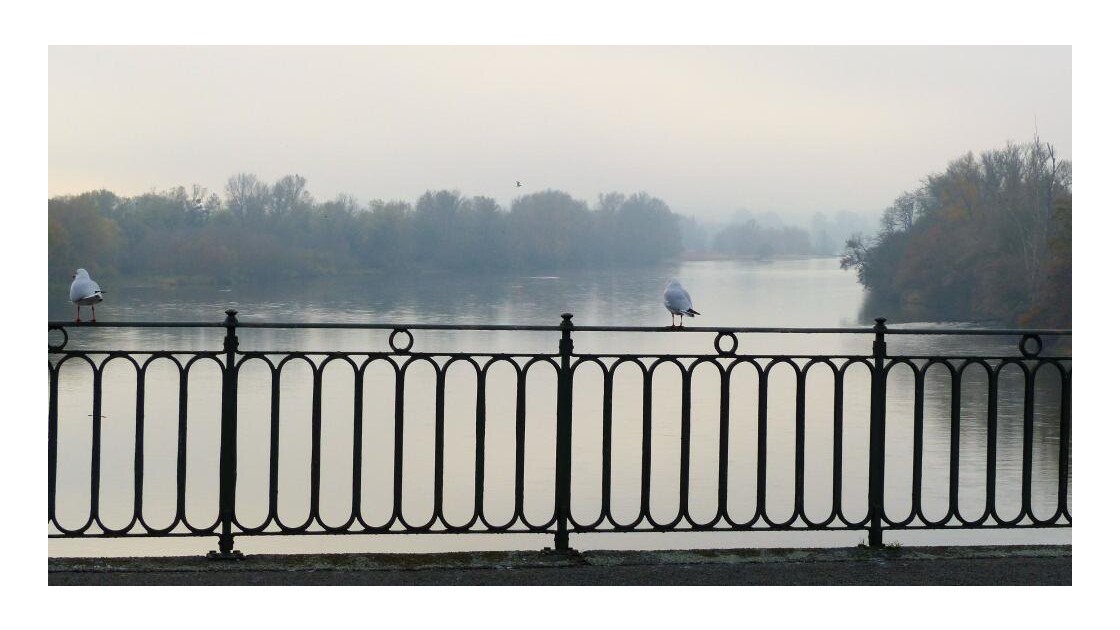Brouillard sur la Loire