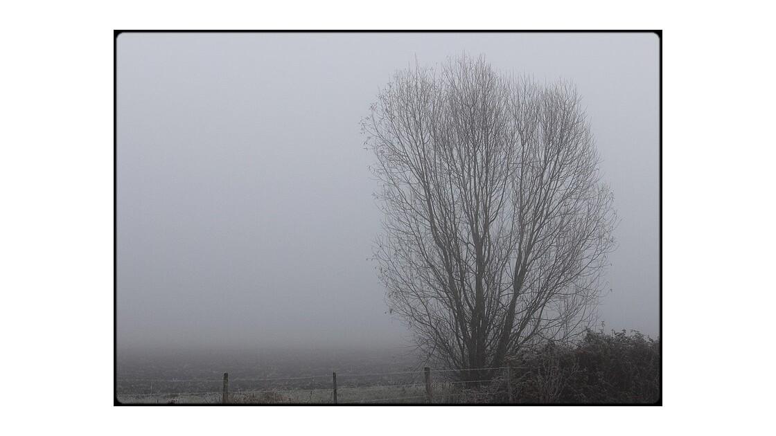 brouillard