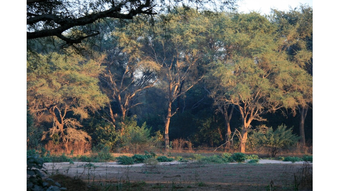 Lower Zambezi