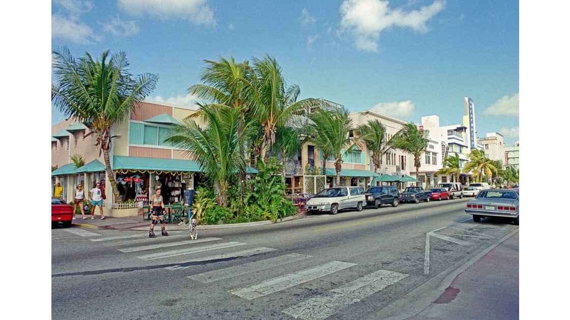 Miami Ocean Drive 5