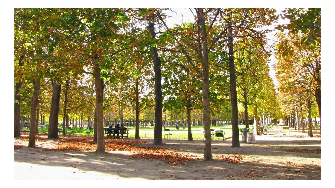 Le Jardin des Tuileries !!
