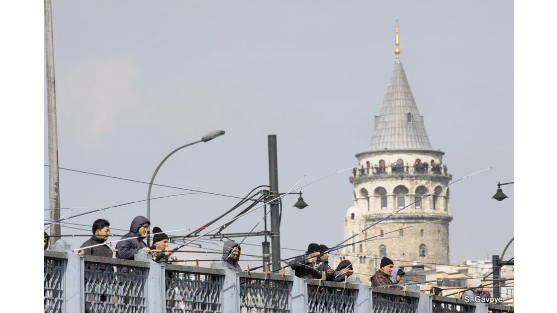 Pêcheurs devant la tour Galata Istanbul