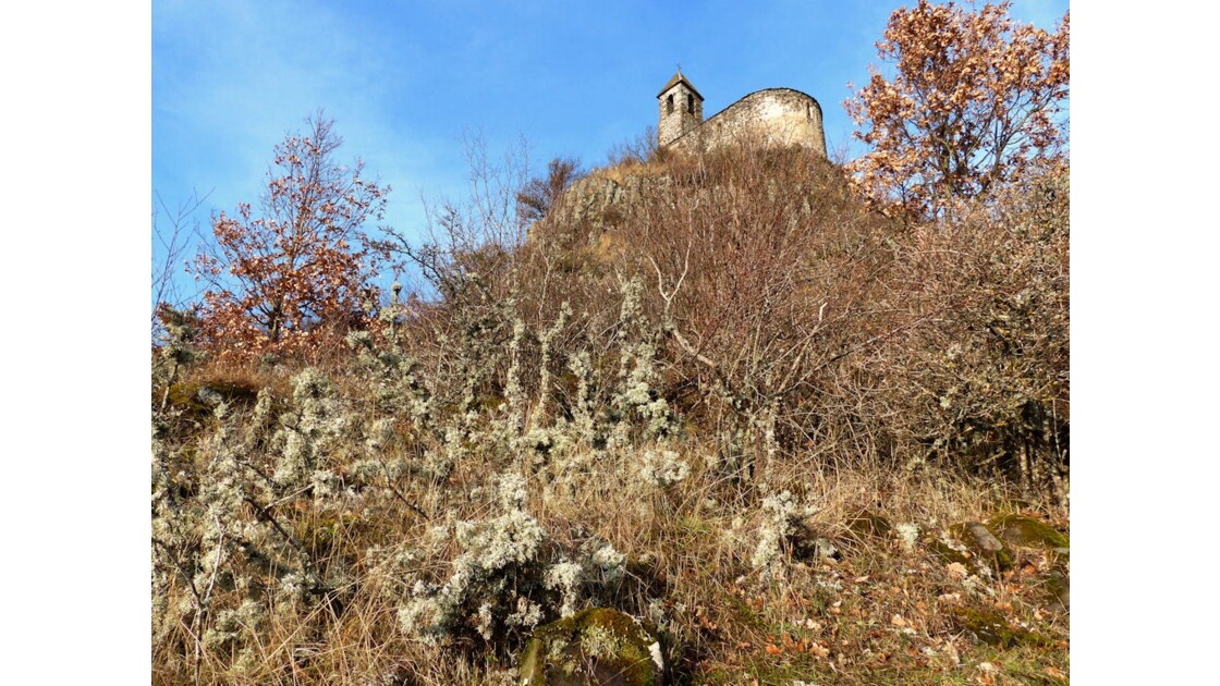 Pic de Brionnet, lichens
