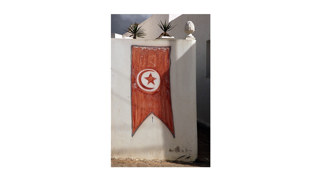 Drapeau Tunisien sur un mur
