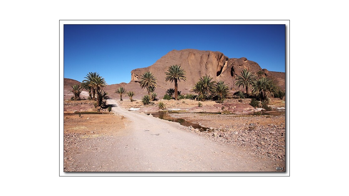 Maroc - Oasis Fint près de Ouarzazate
