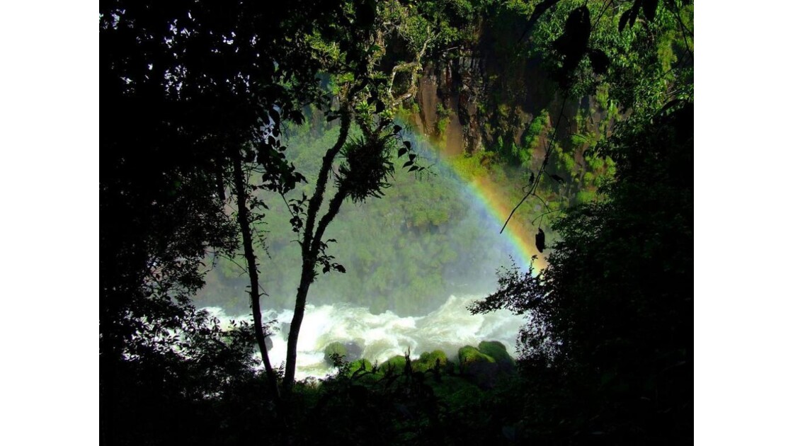 Parc national d Iguazu Clair obscur