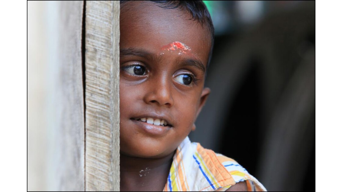 Inde du sud: enfant du kerala.