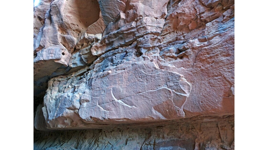 Jordanie Wadi Rum Siq Khazali Pétroglyphes 2