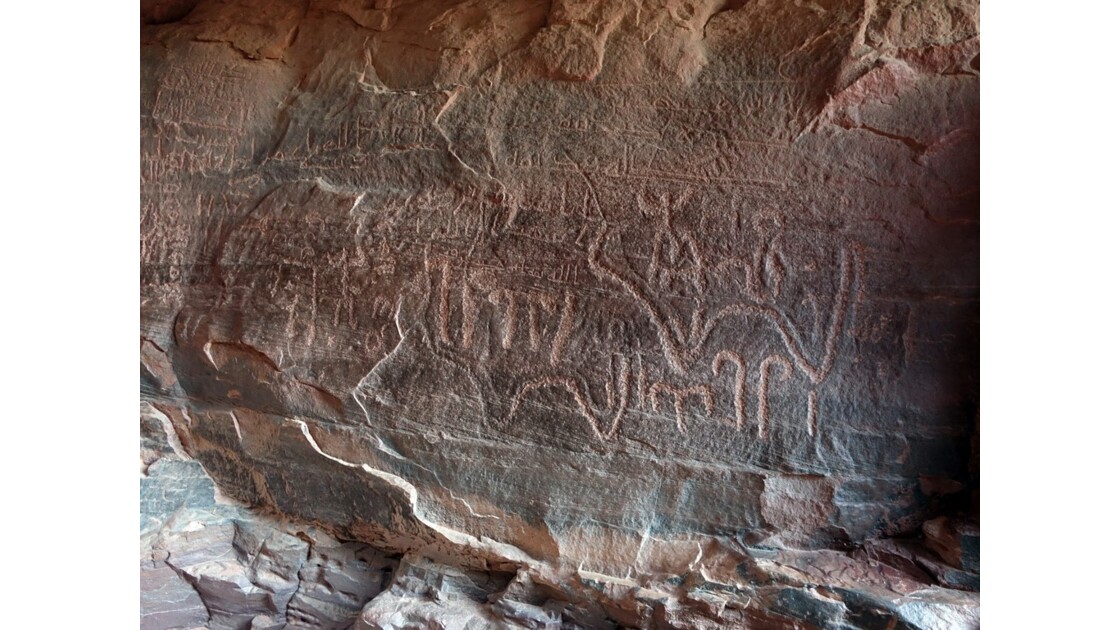 Jordanie Wadi Rum Siq Khazali Pétroglyphes 5