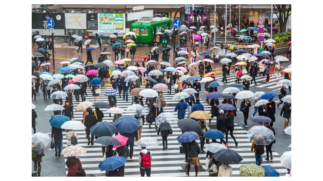 Les parapluies de Shibuya