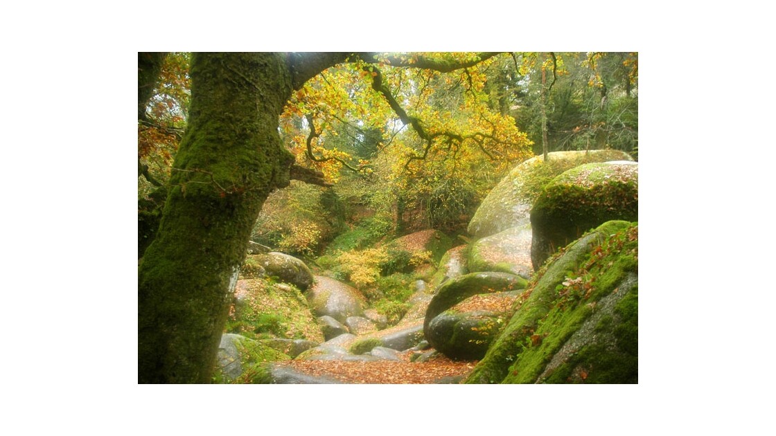 Forêt de Huelgoat Bretagne