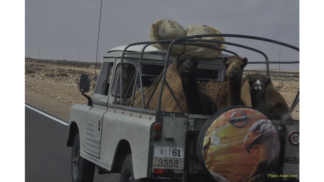 Voyage en Mauritanie pour les enfants
