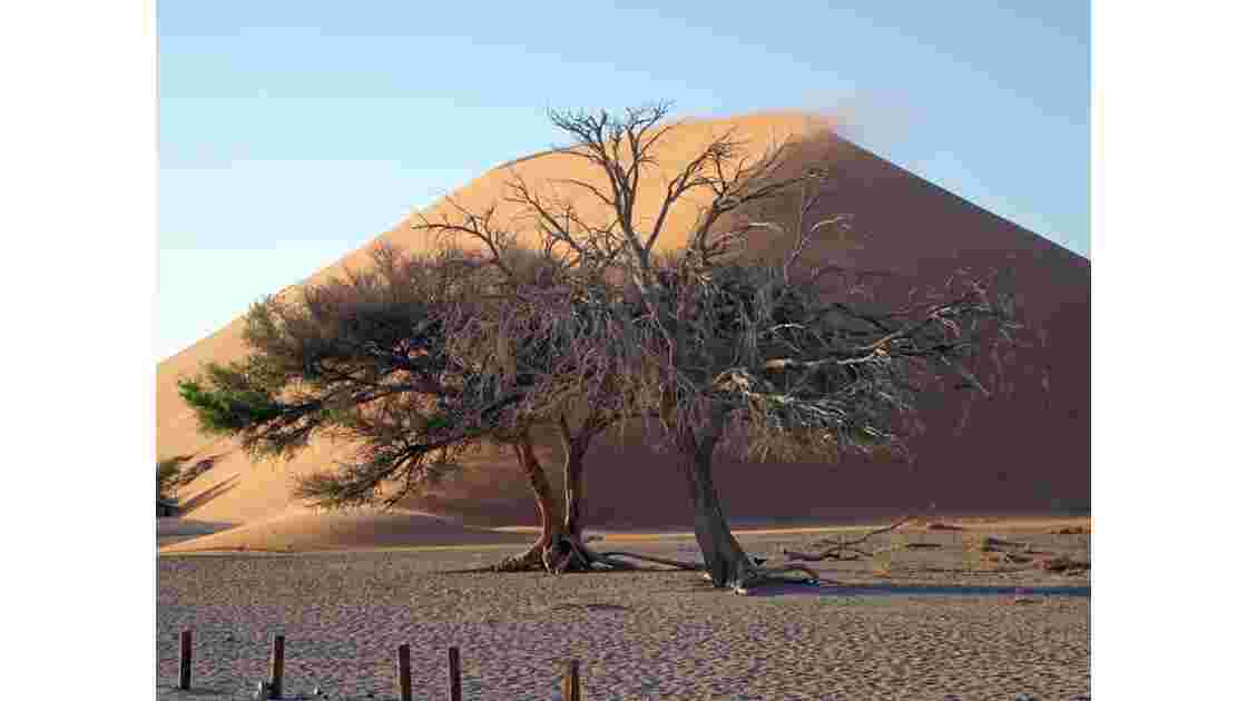 Namibie Dune 45 Sossusvlei 4