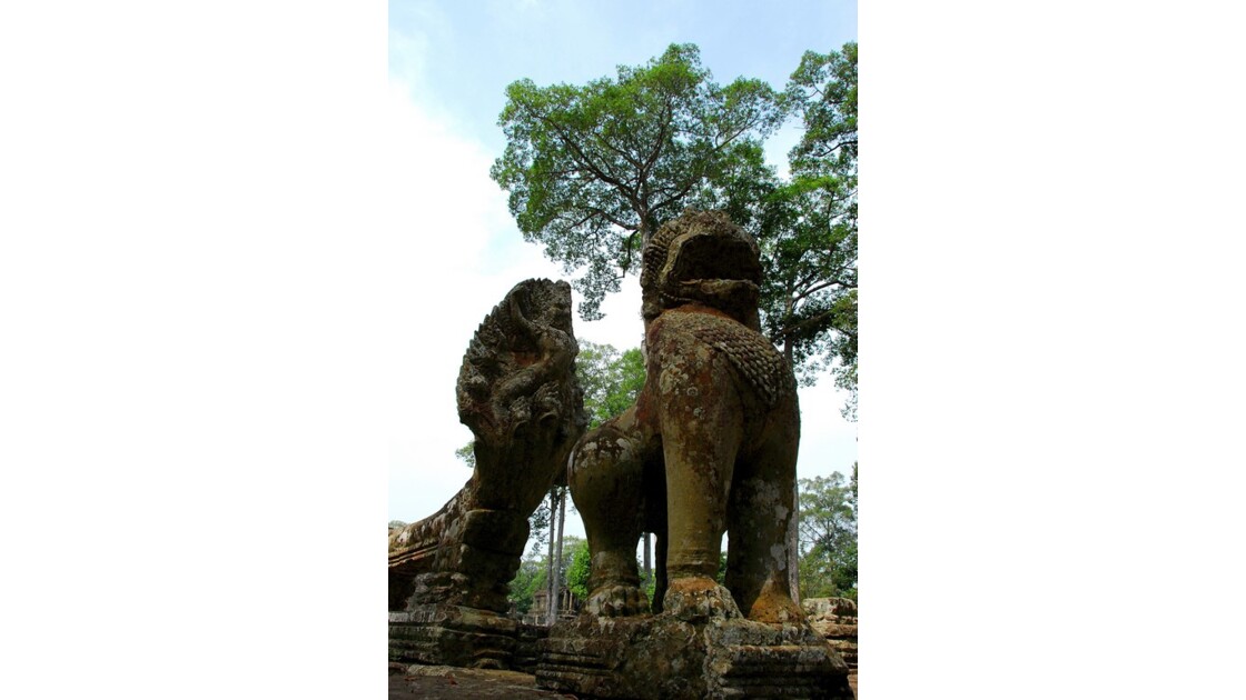 SIte d'Angkor