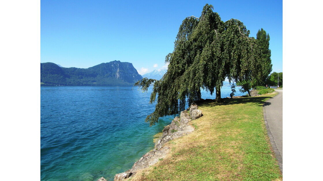 Lac des Quatre Cantons, Lucerne, Suisse, Haut lieu... Geo.fr