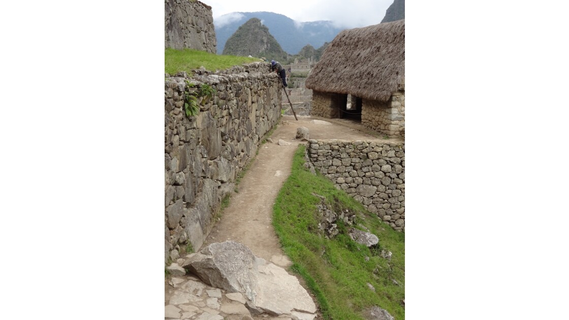 Pérou Machu Picchu Chemin vers l'Intipunku La porte du soleil 