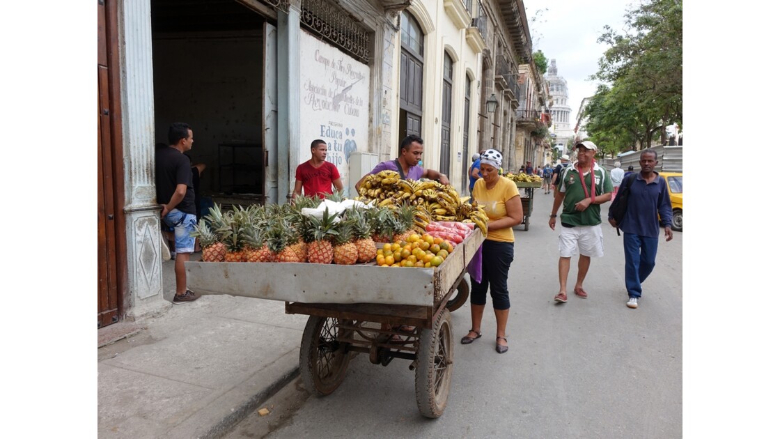 Cuba La Havane Calle Teniente Rey 1