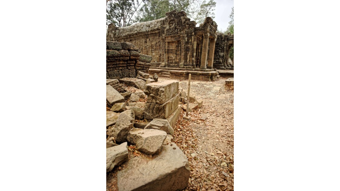 Temple d'Angkor - Ta Prohm
