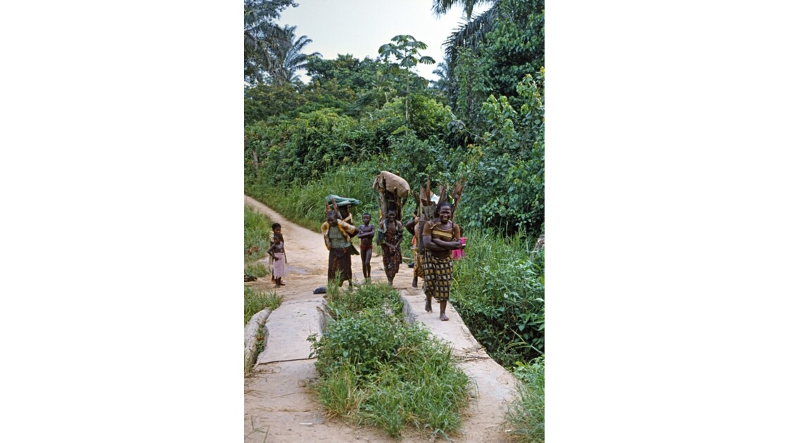 Congo 70 Kellé Retour de la forêt