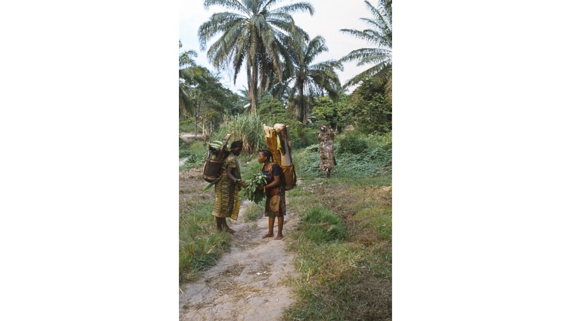 Congo 70 Kellé Retour de la forêt 8