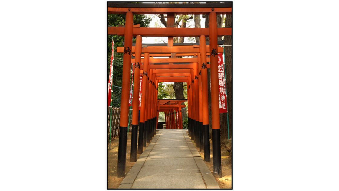 Tokyo - Ueno - Hanazono Inari Jinja