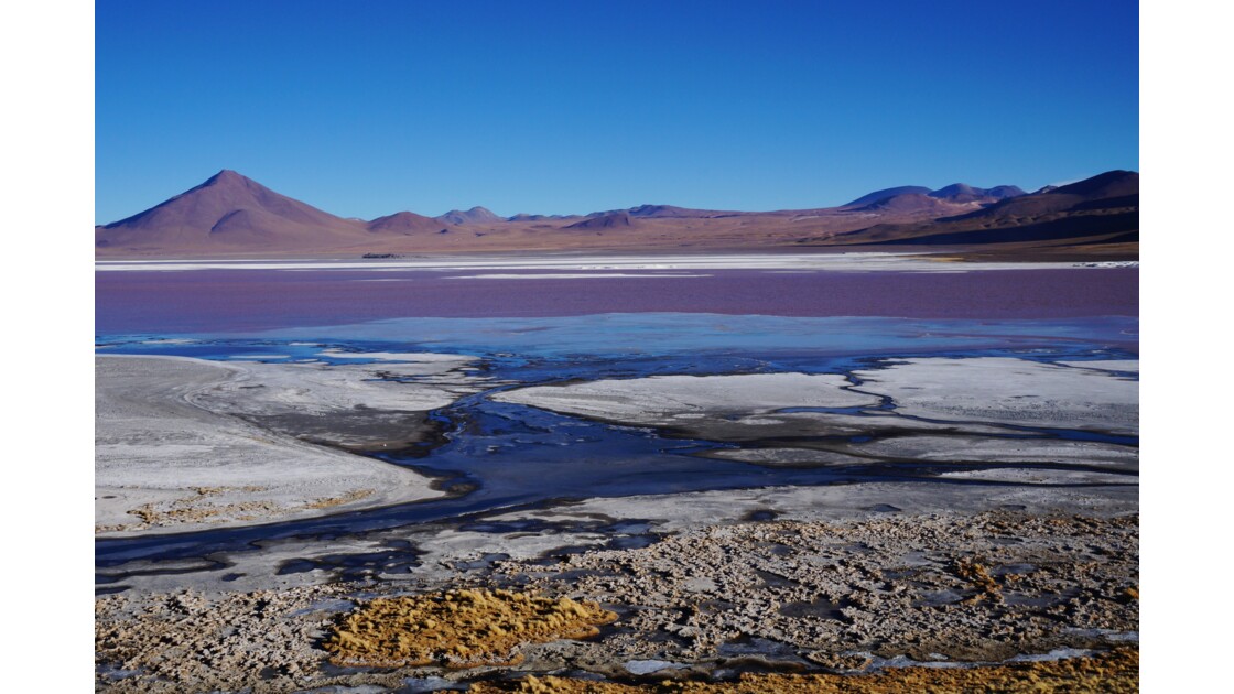 Lagune colorada Bolivie
