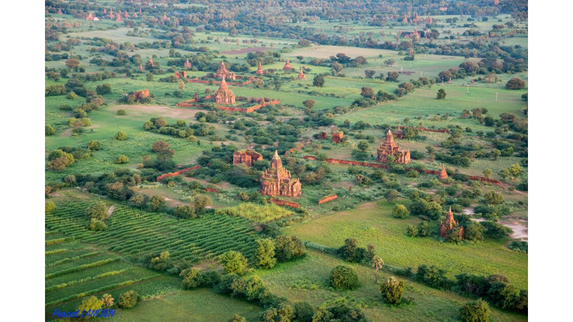 Planète Birmane-Bagan