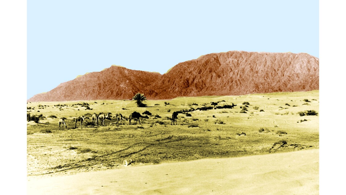 Désert du Sinaï