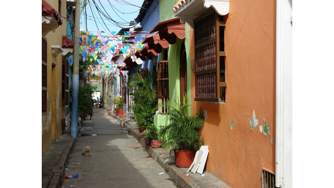 Colombie Cartagena Getsemani Calle Angosto 1