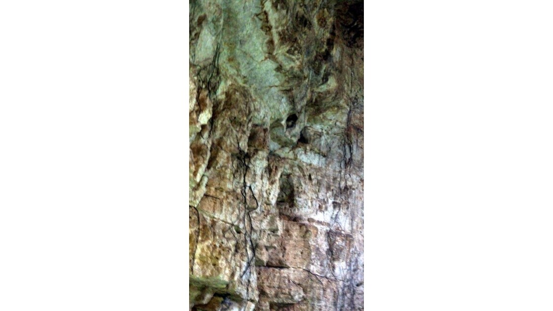 Héritage Maya Cenote 3: KOM HA