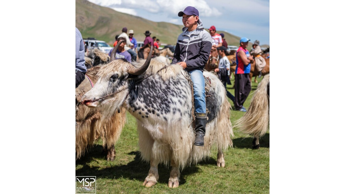 Mongolie - Le festival du yak