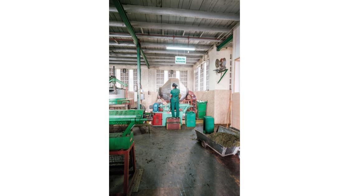 La manufacture de thé