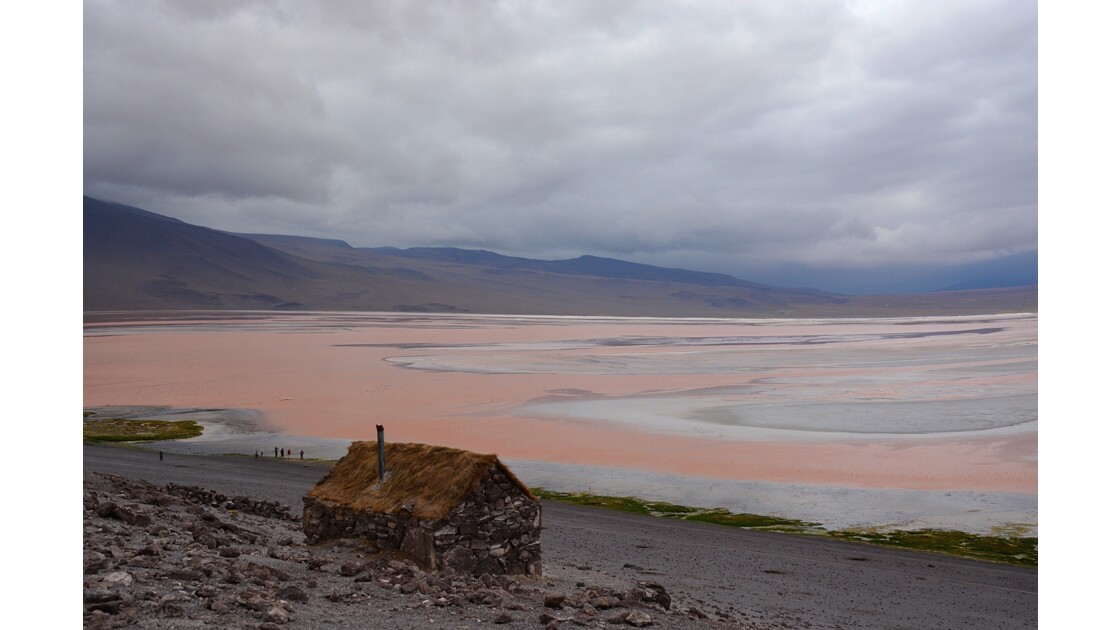 laguna colorada Bolivie 